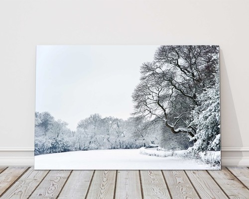 Scena neve invernale cnavas - invernale,