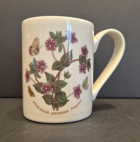 Tazza giardino botanico - tazza,