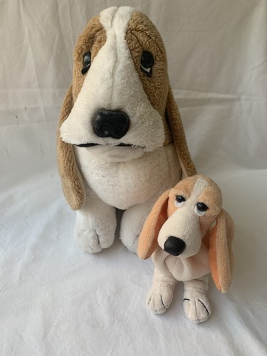 Hush puppies advertisement - puppies,