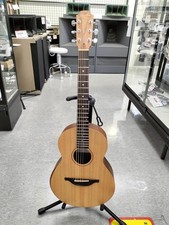 Chitarra elettrica acustica
