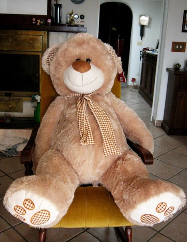 Peluche orso - peluche,