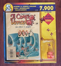 ESPLORANDO IL CORPO UMANO-FASCICOLO EDICOLA N.28-LIBRO+PARTE CORPO-DE AGOSTINI