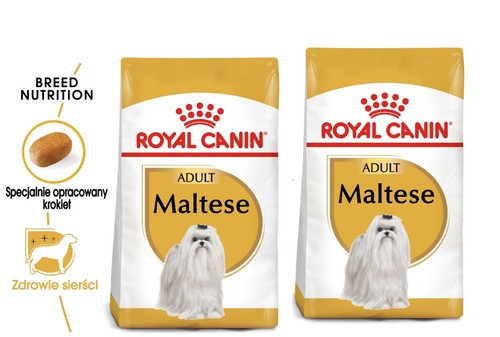 Royal canin maltese adult cibo - royal,