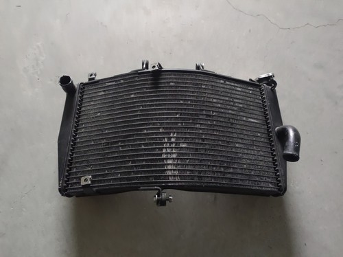 Radiatore honda cbr 600 - radiatore, rr