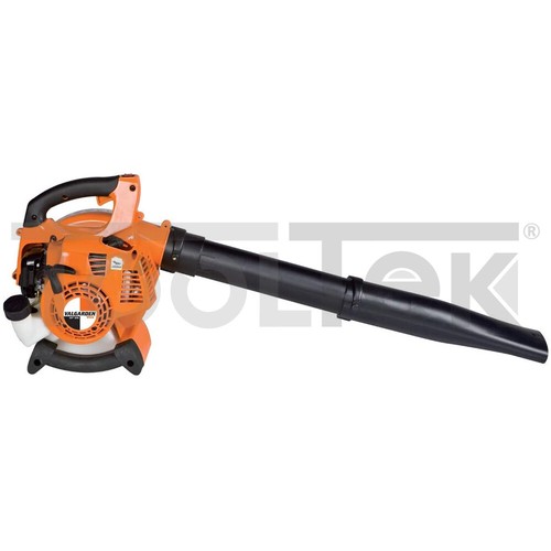 Soffiatore foglie giardino - foglie,