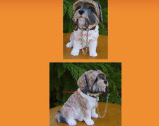 Sitting Brown Shih Tzu Dog