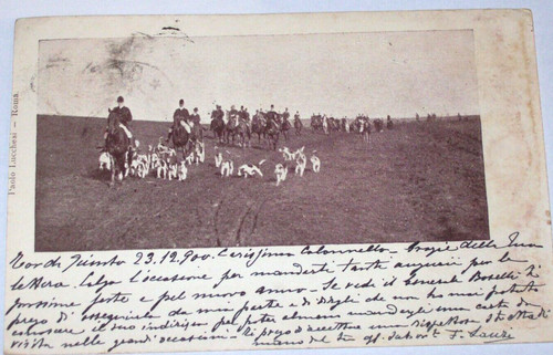 Caccia alla volpe cavallo 1900 - caccia,