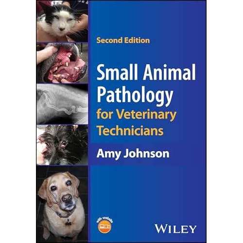 Small animal pathology - animal, for
