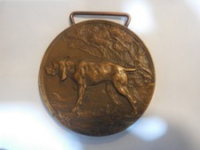 medaglia canile cane Tregolo