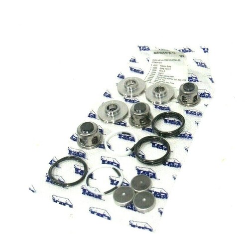 Nuovo kit valvole cat - kit,