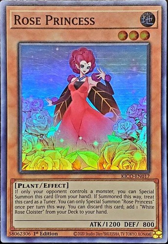 Rosa principessa kico en017 - rosa, kico-en017