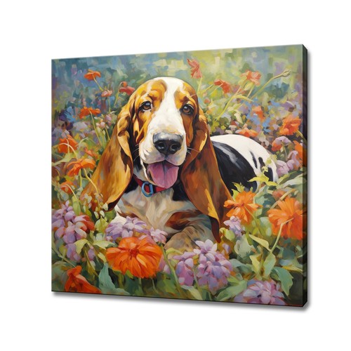 Basset hound dog puppy - hound,