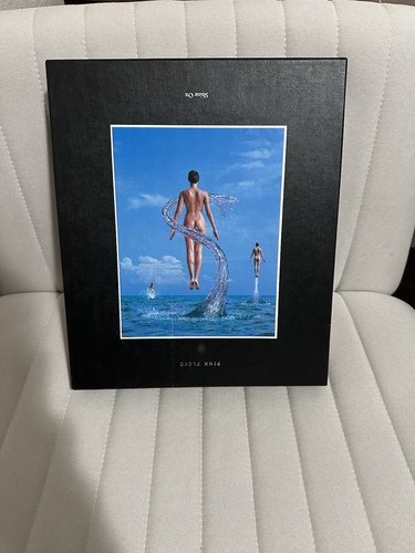 Pink floyd shine - pink, cd