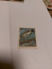 Ferrero Figurina Anni 50/60 Caccia Subacquea N. 64 Pesce Pappagallo E Trombetta