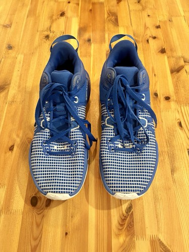 Nike lebron witness - nike, tb
