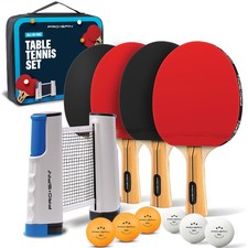 PRO-SPIN Portable Ping Pong