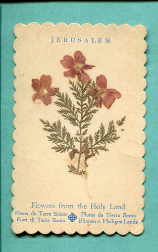 Gerusalemme santino con fiori - gerusalemme-santino,