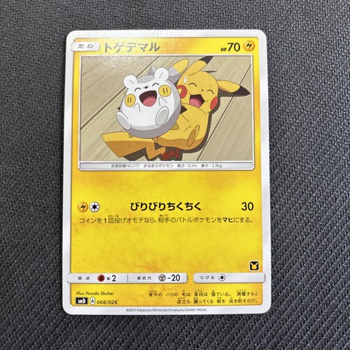 Japanese pokemon ash - japanese, team
