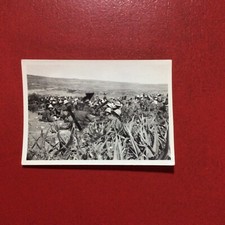 Bersaglieri,mitragliatrice,Afr