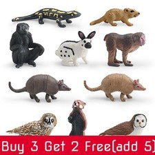 Animali Selvatici Coniglio