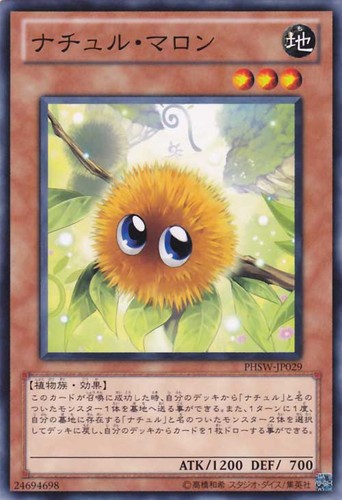 Ocg naturia marron - ocg,