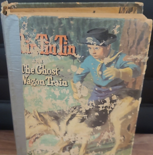Cole fannin rin tin - fannin, and