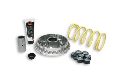 5114258 variatore malossi - 5114258,