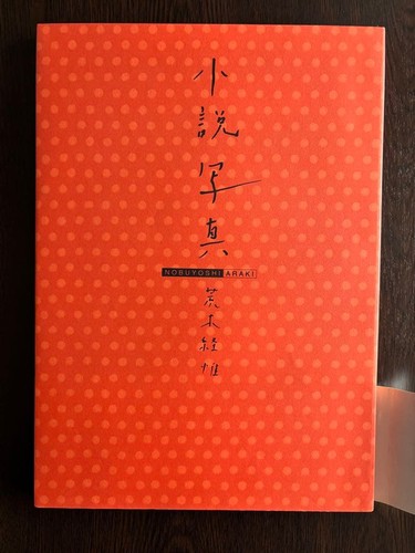 Nobuyoshi araki novel photo - araki,