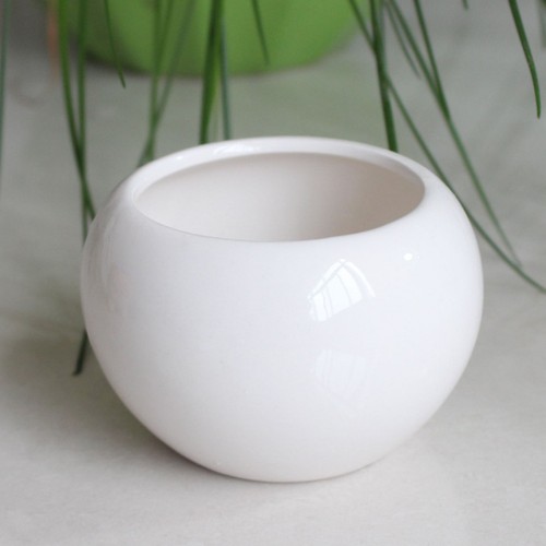 Fioriera ceramica succulenta