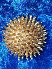 Spilla riccio vintage tono oro