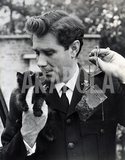 Foto Vintage Animali Cucciolo Gatto Salvato Sul Tamigi stampa 21x27 cm