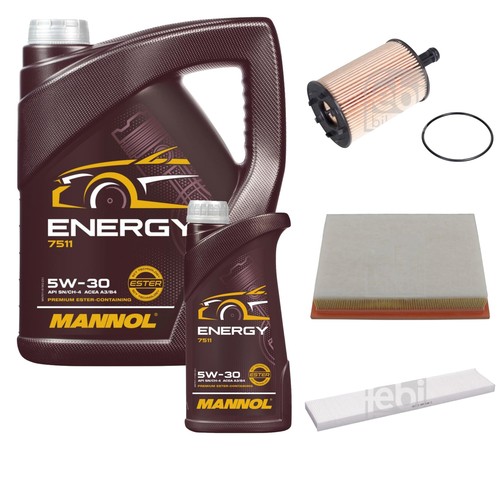 Pacchetto ispezione mannol - 6l,