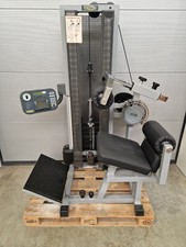 TechnoGym Estensore Schiena