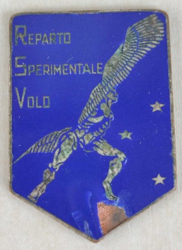 Distintivo azzurro reparto - distintivo,