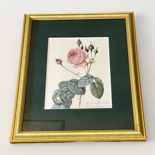 Stampa artistica rosa