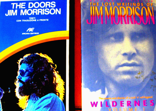 Jim morrison doors 2 libri - morrison,