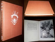 Papuasi e Pigmei, Alfred A