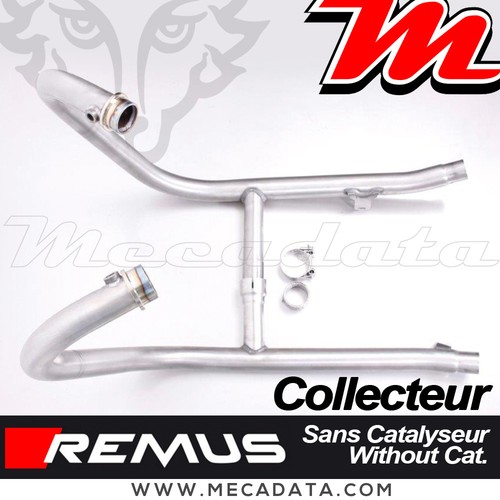 Collecteur sans cat - sans, haute