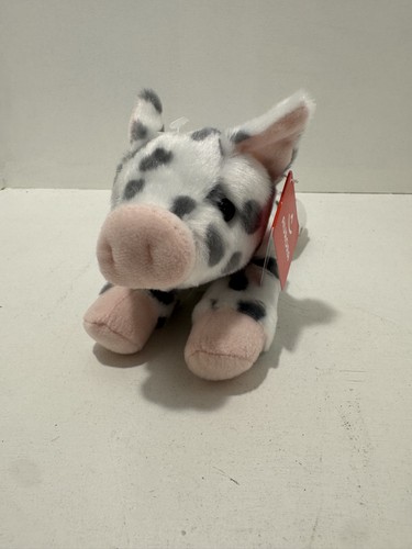 Aurora miyoni spotted piglet - aurora,