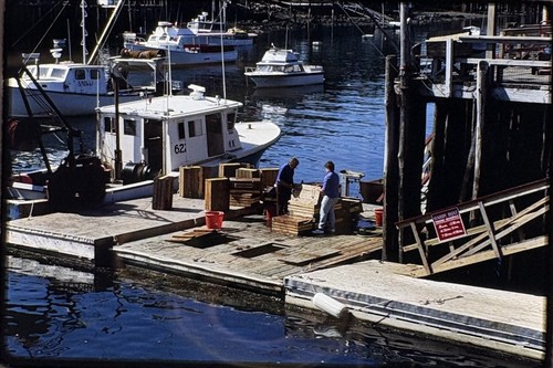 New harbor maine hardy boat - harbor,