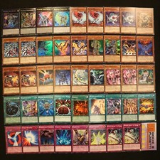 LOTTO MAZZO BUJINGI in