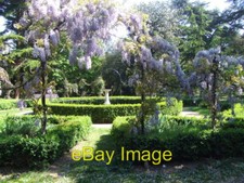 Photo 6x4 Italian Garden