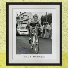 Stampa firmata Eddy Merckx -