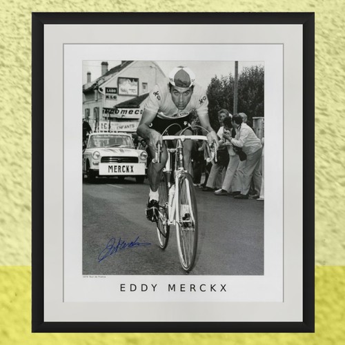 Stampa firmata eddy merckx - stampa,