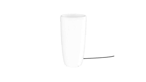 Fiore vaso giardino - fiore,