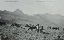 La Cantal Pittoresque Vacherie