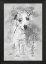Jack Russell cucciolo 3 mesi