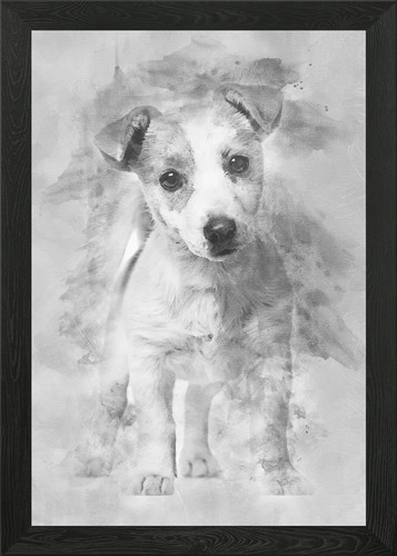 Poster jack russell cucciolo - russell, 3