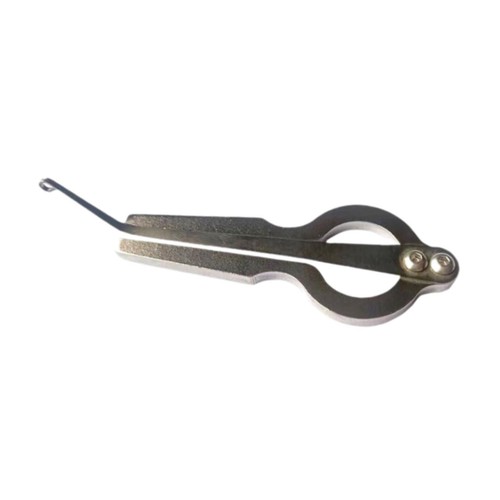 Arpa ebraica bocca - ebraica,
