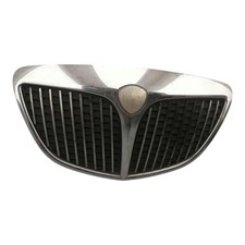 Griglia Radiatore LANCIA YPSILON 1 Serie/MUSA 1 Serie RICAMBIO USATO ORIGINALE
